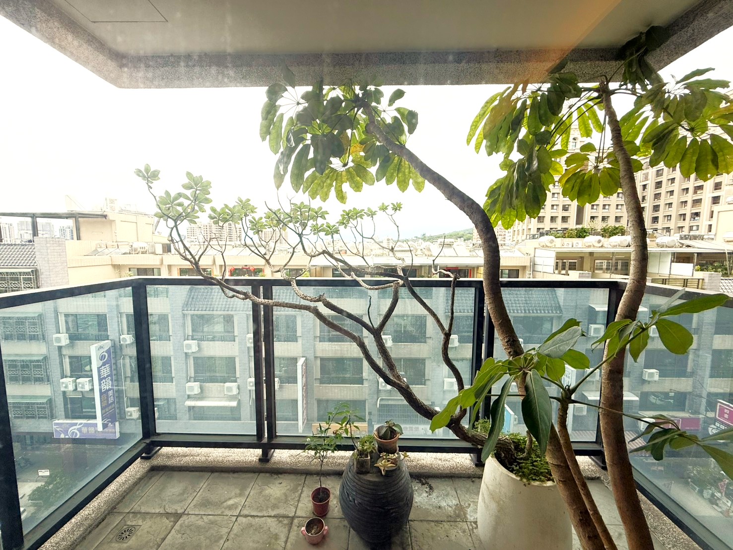 🌳北屯首選【勝美樹】✨百萬裝潢大三房＋B1平面車位 拎包入住｜屋主誠售｜質感生活一鍵開啟！