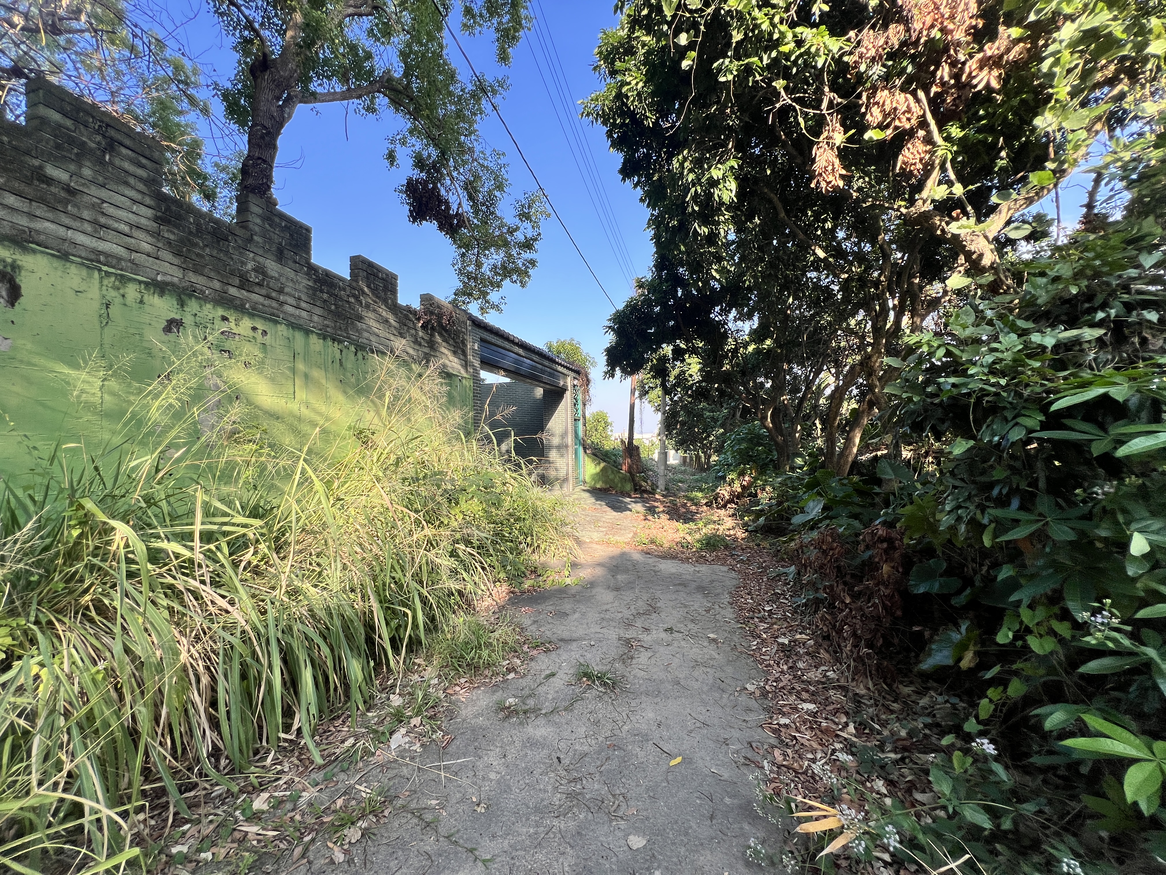 ❤️可談Allen來幫您爭取❤️彰化市石牌國小旁巷弄農地農舍別墅
