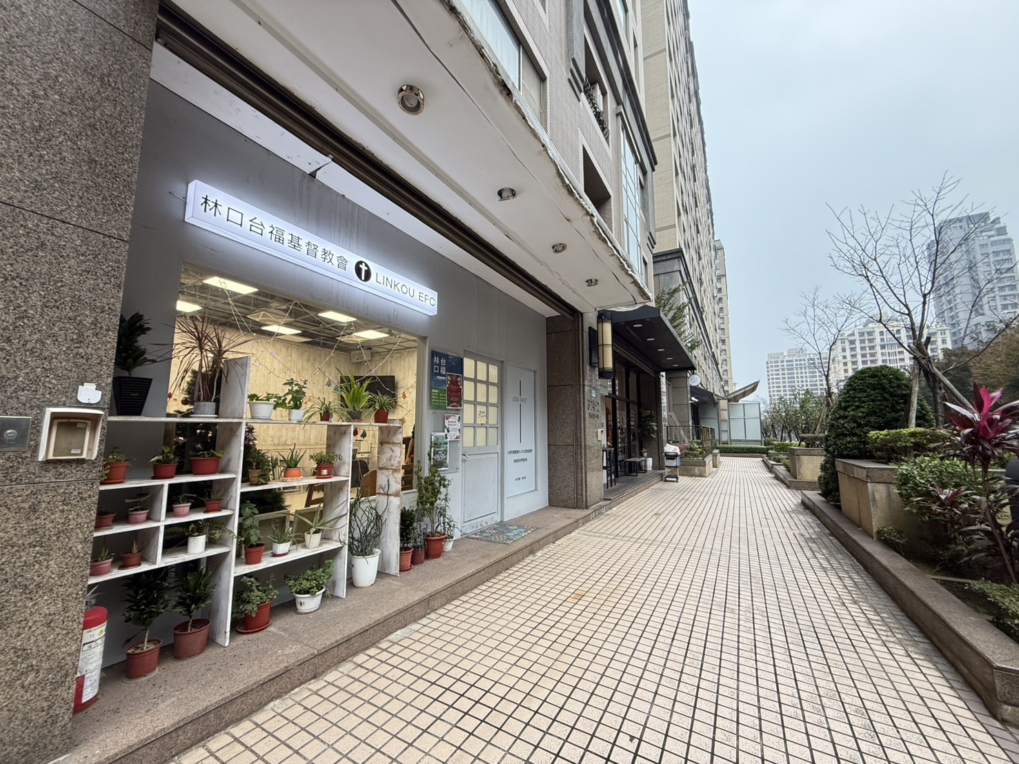 🍎未來城二期🍎近三井✨收租黃金店面