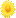 🌼