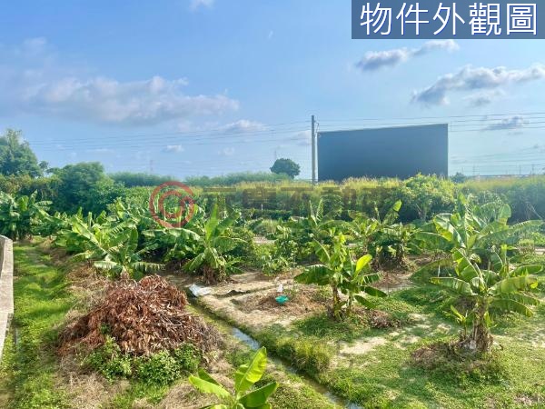 台中大肚沙田路旁大面寬農地【KK在地通】