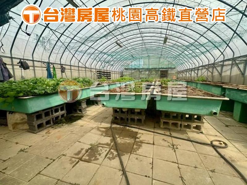 近桃園高鐵青埔A19捷運🌟千坪農園美資材室🌟