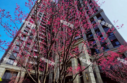 【王牌獨賣】308🍎 專約新宿美裝高樓後棟