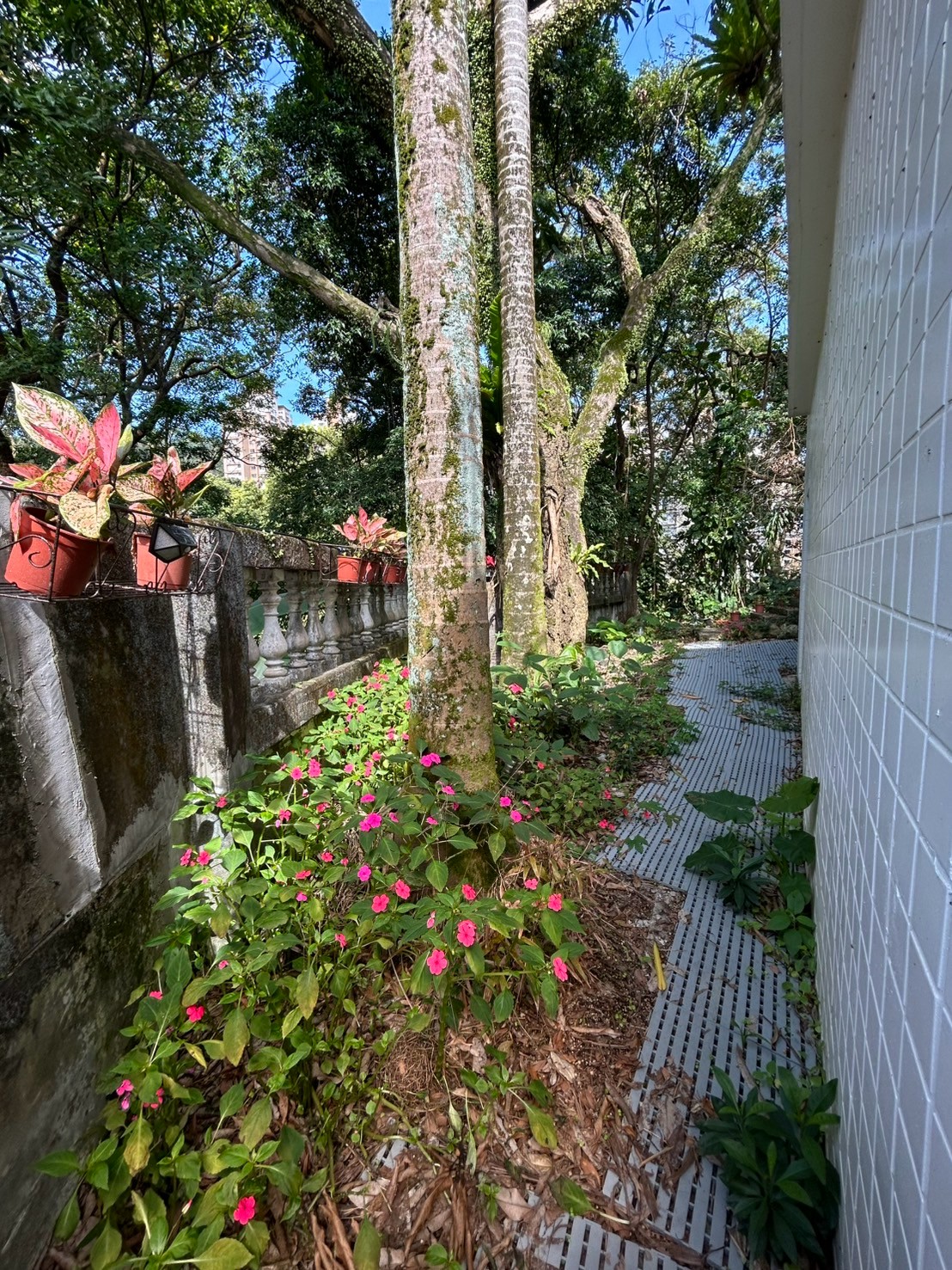 木柵考試院透天