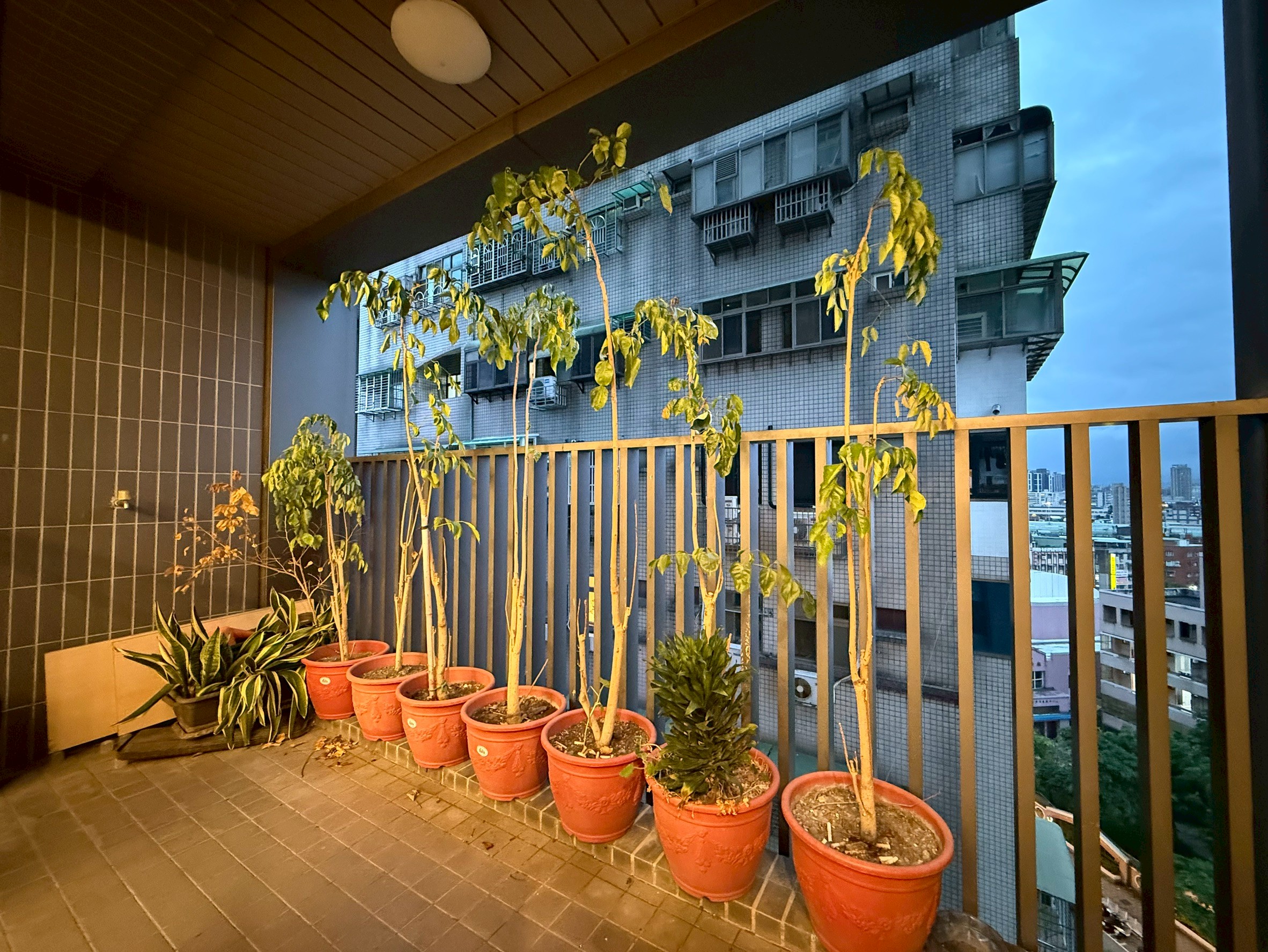 🌟優質商務空間🌟 三重交通方便 三和路寬敞辦公大樓