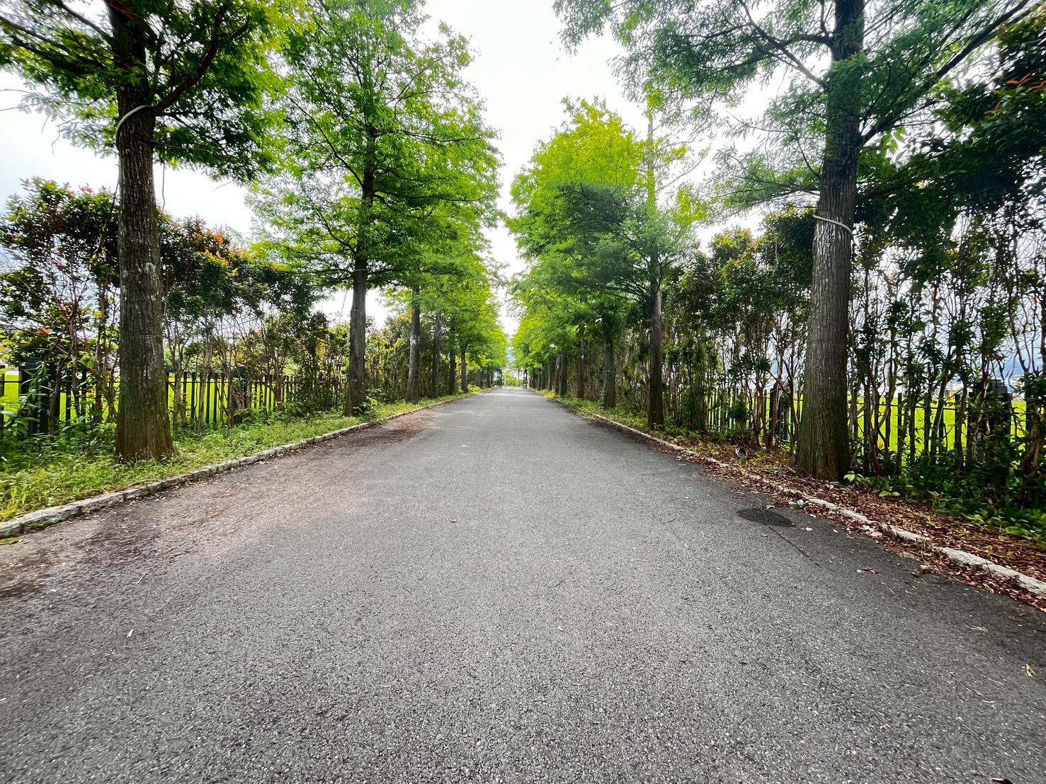 新古典藝術莊園獨棟別墅
