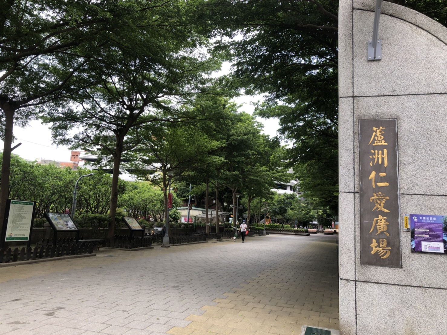 「🌈給孩子一個家」仁愛國小旁黃金3樓陽光三房
