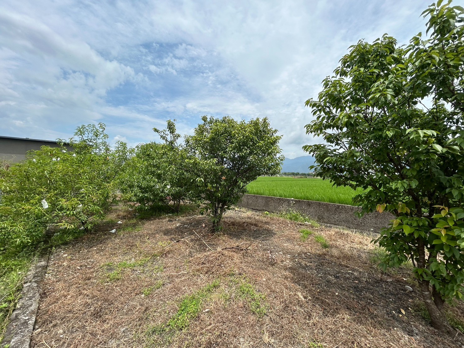 永慶許書豪★三星綠野仙蹤渡假屋