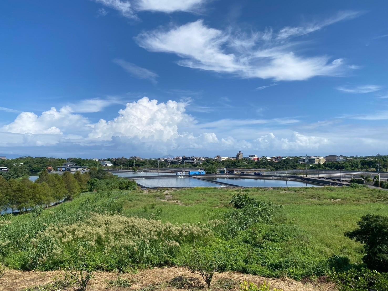 永慶許書豪★擁抱親水風景雙面路獨棟電梯農舍