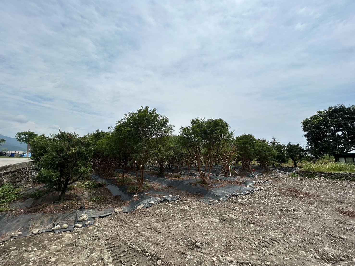 永慶許書豪★三星綠野仙蹤渡假屋