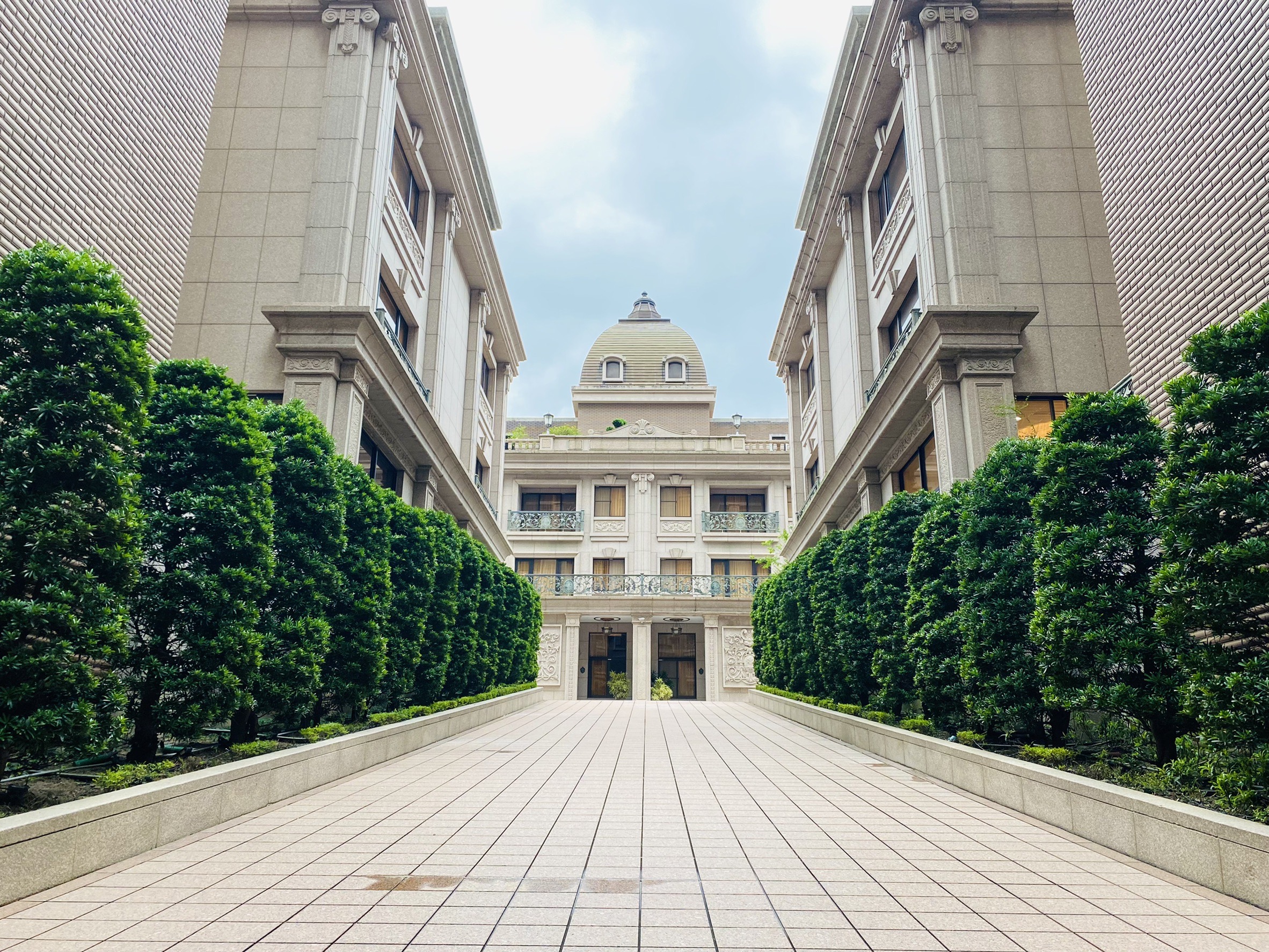 老闆們看過來!豪氣別墅⭐⭐⭐(桃園)中悦至寶電梯別墅