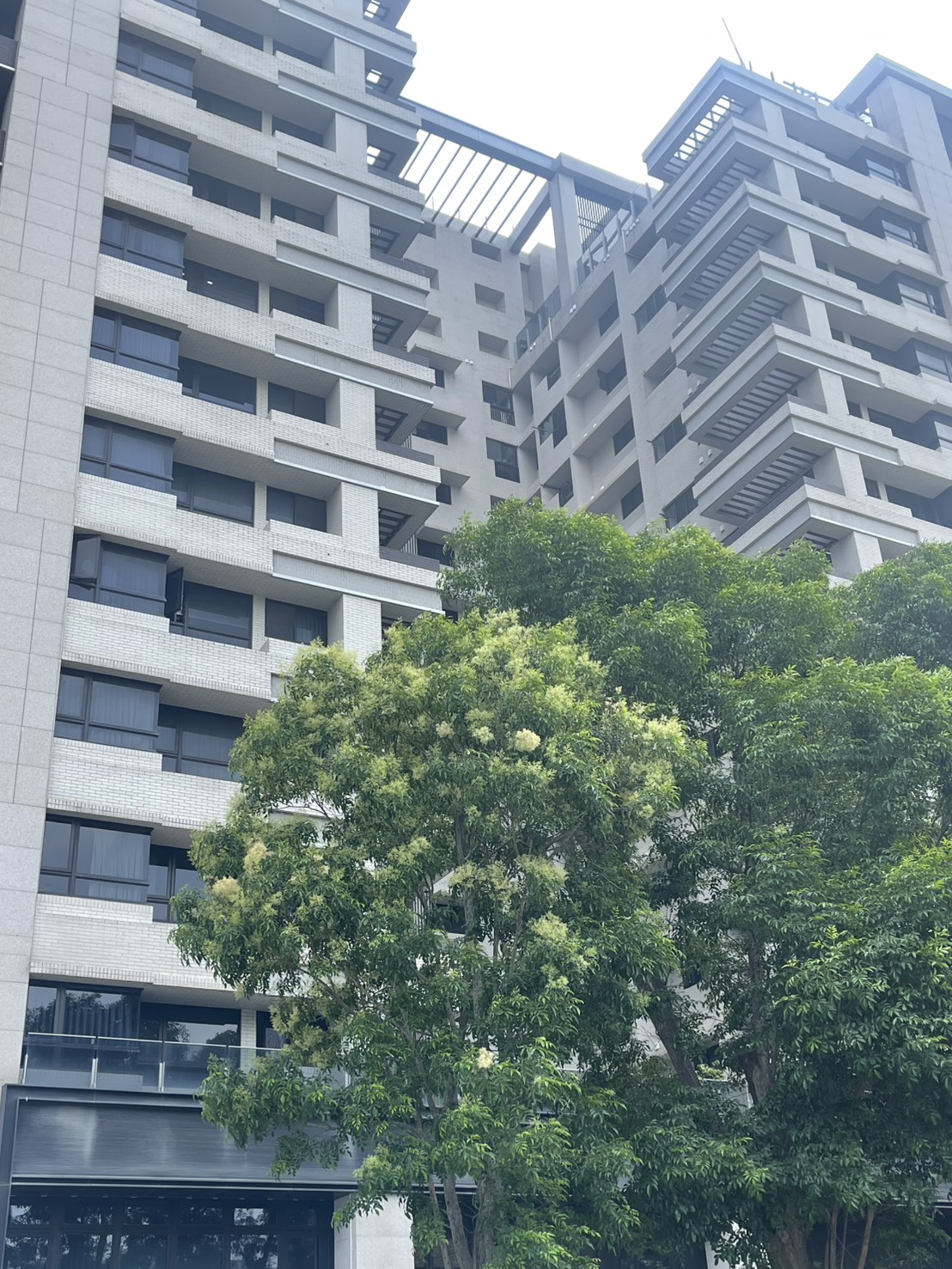 ⭐⭐⭐青埔A18站前A+面青雲路兩房平面車位