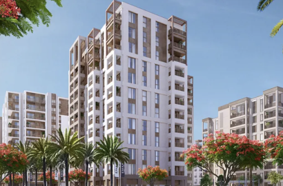 【 Emaar ｜Mangrove 】