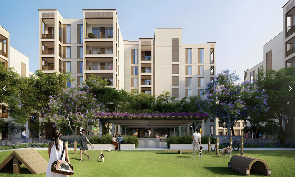 【 Emaar |Moor 】 【 Emaar |Moor 】